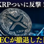XRPついに反撃！SECが控訴を撤回した本当の理由とは？【2025年3月24日・最新暗号資産ニュース】