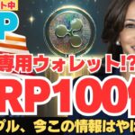 【衝撃】XRPリップルウォレット登場か？リップル社の次の一手がヤバい！【XRP】【リップル】【仮想通貨】【ビットコイン】