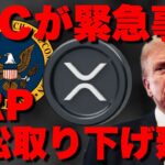 明日Xデーに向けてSECが緊急事態？XRP訴訟取り下げ延期へ。そしてビットコインは超強気。【仮想通貨 暗号通貨 ビットコイン FX リップル】