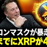 【リップル速報】イーロンマスクがXの決済としてXRP導入し4倍確定か🔥【仮想通貨 ビットコイン 最新情報】
