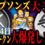 【緊急】リップル、ステラの予言から遂にあのトークンの予言が来ました