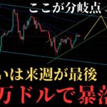 【来週予想】来週末ビットコイン再び暴落するので今のうちに短期で買い逃げしましょう