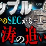 トランプさん,,,,,リップルをやはり裏で動かしてますね。