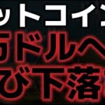 ビットコイン７万ドルまで再び下落するのか？？今夜の米露会談に警戒を。