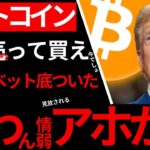 【命懸け】ビットコイン、腎臓売ってでも買え！大底着いたか？買えない情弱は救済の余地なし