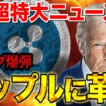 緊急情報！【リップル】トランプが遂に提携！価格はさらに跳ね上がります！