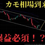 🔥激アツ！ビットコインわかりやすすぎる形でめちゃくちゃ稼ぐチャンス来ました