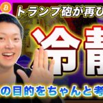 【冷静になって】ビットコイン・トランプ砲！今度はアルトコインの準備金構想を発表！この時期に材料一発で上昇する相場は気を付けて！納税前の売り物がビッチリですよ？【最新の仮想通貨分析を公開】