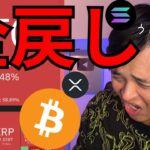 仮想通貨全戻しの暴落、ビットコイン準備金は実現ムリ？