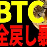 【仮想通貨】ビットコイン全戻しの暴落！今は買うな！その理由はズバリ○○だからです！