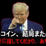 ビットコイン、ついに…