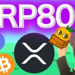 ビットコイン17万枚送金 初XRP特化ファンド設立 底打ちサイン