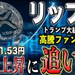 リップル最新！2025年1番の押し目ポイント！9倍が狙える大幅反発発生か！？【仮想通貨】【シバコイン】【イーロンマスク】【ビットコイン】【SHIB】【XRP】【DOGE】【リップル】【最新】