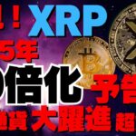 【必見】2025年リップル（XRP）40倍化予告！BTCクジラ増殖！仮想通貨大躍進超解析！