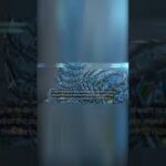 RIPPLE VS SEC APRIL 3 SEC MEETING COULD SKYROCKET XRP TO $5 | THIS IS HUG FOR XRP | XRP NEWS UPDATE