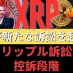 SECがリップル訴訟で新たな申し立てを提出、事件は依然控訴中と発表！- BTC XRP #xrp #リップル #xrp リップル