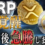 リップル最新！７倍の急騰は○日で確定！大幅上昇に今すぐ備えろ！！【仮想通貨】【シバコイン】【イーロンマスク】【ビットコイン】【SHIB】【XRP】【DOGE】【リップル】【最新】