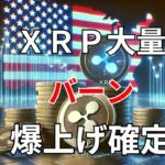 【リップル速報】　XRP大量バーンで爆上げ確定！