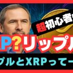 【超初心者必見】リップルとXRPって一緒？