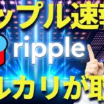 【リップル速報】メルカリがXRPを取扱決定！妻に反対されても俺は仮想通貨に人生を捧げるって言ってるだろ！
