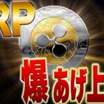 『億情報』XRPの爆発日情報を掴んでください。