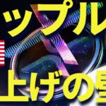 リップル(XRP)の爆上げの障壁を語る！日曜日で休もうと思ったけど動画更新します！