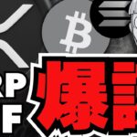 【リップル】XRP ETFでいくら上昇？ブラジルで爆誕／仮想通貨バブル？ビットコインETF流入が止まらない／ミームを買うクジラ