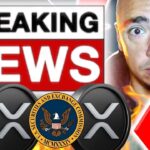 XRP HOLDERS! NEW DETAILS ON RIPPLE VS SEC LAWSUIT!