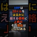 XRPは20ドルをはるかに超える価格に上昇⁉︎その理由はここにある！！ #xrp #リップル #仮想通貨
