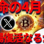 【XRP】リップル絶対に勝てる！！運命の4月スタート！DOGEとイーロンの関係性は良好か？