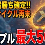 【リップル最新情報】XRP強気サイクル再来！最大で年内50倍を記録する可能性が浮上！保有者は全員勝ち確定です！【リップル/XRP】【ビットコイン/BTC】