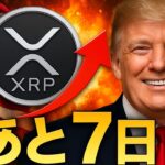 【XRPリップル】トランプが言った！あと7日⁉XRPを準備しましょう‼