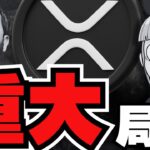 【XRP最新】リップルCEO発言！重要局面を迎え上昇？／ビットコイン準備金が各地で。覇権はどこが？／急上昇コイン