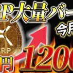 【リップル社が大暴れ】XRP大量バーンで価格高騰🔥さらにRLUSD関連銘柄も爆上げ確定‼️【ビットコイン 仮想通貨 暗号資産 最新情報】