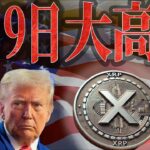 【リップル緊急速報】トランプ関税によりバブル前、最後の買い場が襲来【ビットコイン】【仮想通貨】