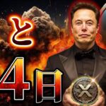 リップルの上昇日程。把握しておいてください。#xrp #仮想通貨 #リップル #暗号資産