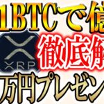 【ビットコインは0.1枚で充分】仮想通貨は今後どうなっていくのか？徹底開設！