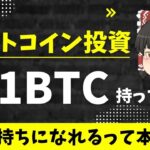 【ゆっくり解説】いま0.1BTC分のビットコインを買う意味はある？