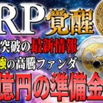 【リップル最新】巨額の準備金調達で1000円超えに向け大暴れ！XRPがNo.1コインに【仮想通貨】【シバコイン】【イーロンマスク】【ビットコイン】【SHIB】【XRP】【DOGE】【リップル】【最新】