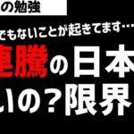 11連騰中の日本株！すごいことが起きてる！相場は強いのか？もう限界なのか？ズボラ株投資