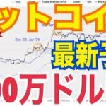 【ビットコイン】最新価格予測まとめ！13万ドルから100万ドル超！？ビットコイン量子コンピュータ性能向上で電子クズ！？