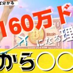 【仮想通貨】これを見れば160万ドルまで行く理由が分かります〜ビットコインの相場分析〜