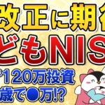 【神改正に期待】18歳未満が利用できるこどもNISAが2026年度の税制改正で実現するか？0歳で120万投資→65歳で●万に！？