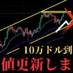 【2025年春最新版】今からビットコインでツッコミ買いする人は全員損切りされます