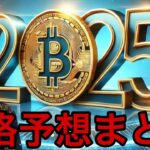 【神回】仮想通貨ビットコイン2025年最高いくら？13〜100万ドルまで価格予想まとめ！