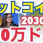 ビットコイン2030年150万ドル到達！？