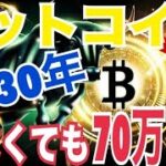 【ビットコイン】2030年まで少なくても70万ドル！？最大380万ドル（約5.5億円）到達の可能性！？