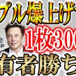 【爆発的に上昇するトークン3選!!】安い今のうちに購入してください！【XRP/リップル】