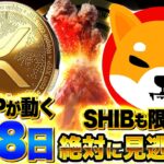【仮想通貨】5月8日が仮想通貨の運命を決める｜BTC10万ドル突破なるか？XRP&SHIB最新情報も解説！（BTC、XRP、リップル、SOL、SHIB）