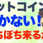 BTC（ビットコイン）動かないこと山の如し！〜ぼちぼち来るか？